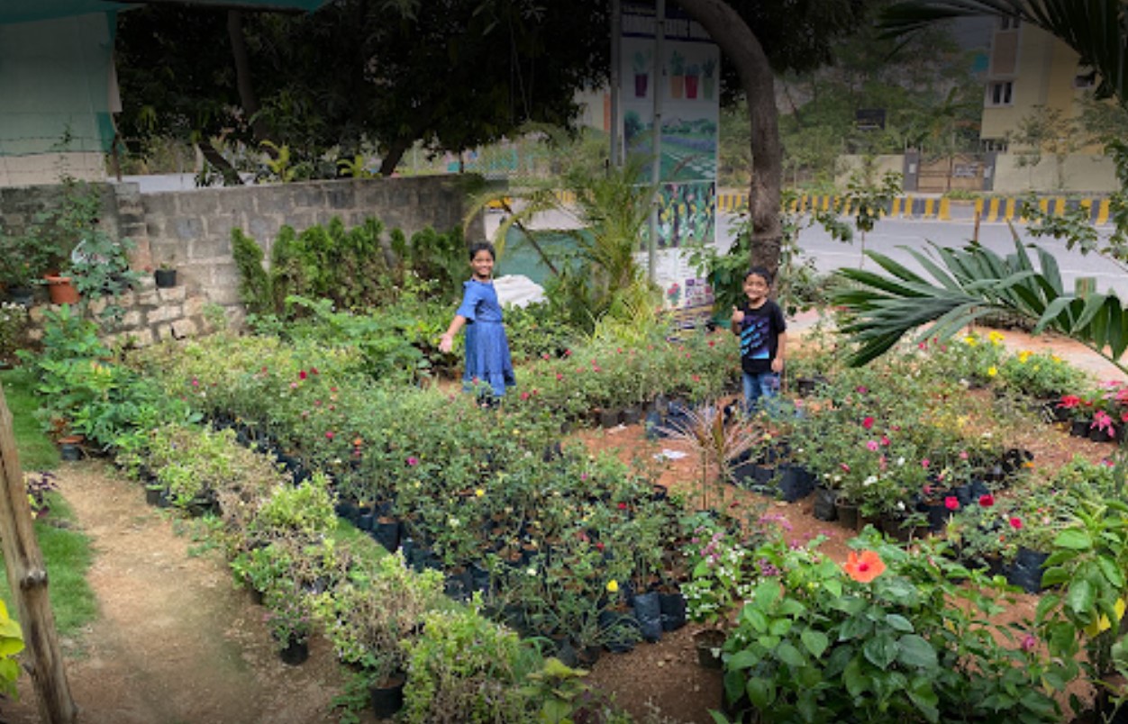 brindavan nursery plant front